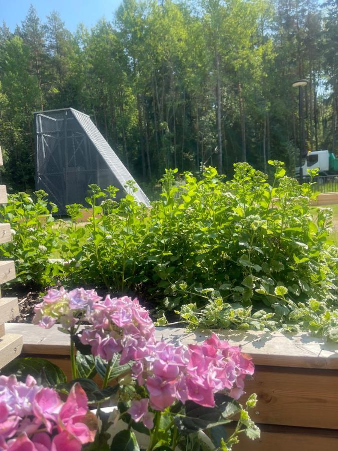 Haalia Homes Turku Paeaeskynpesae Extérieur photo